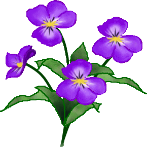季節の花イラスト ビオラ
