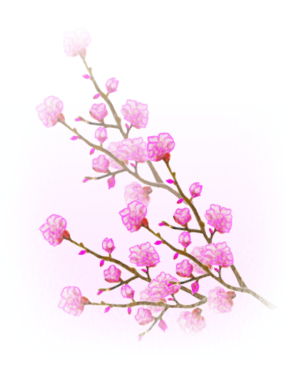 季節の花イラスト 桃 ひな祭りに最適 桃の花 のイラスト素材画像集 桃の花イラスト画像 ひな祭り Naver まとめ